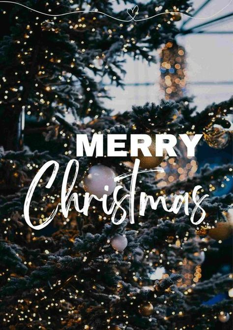 Funny Merry Christmas Images, Christmas Images Wallpaper, Pics For Instagram, Bday Greetings, Meery Christmas, Christmas Images Hd, Xmas Pics, Christmas Card Images, Christmas Image