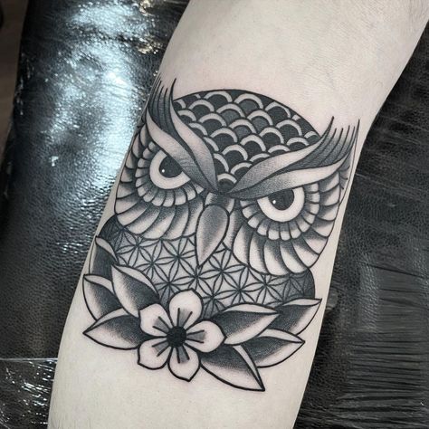 Owl Traditional Tattoo, Old School Owl Tattoo, Tattoo Ideas Female Stencil, Abstract Owl Tattoo, Trad Sleeve, Traditional Owl, Focus Ideas, Traditional Owl Tattoos, Owl Tattoo Meaning