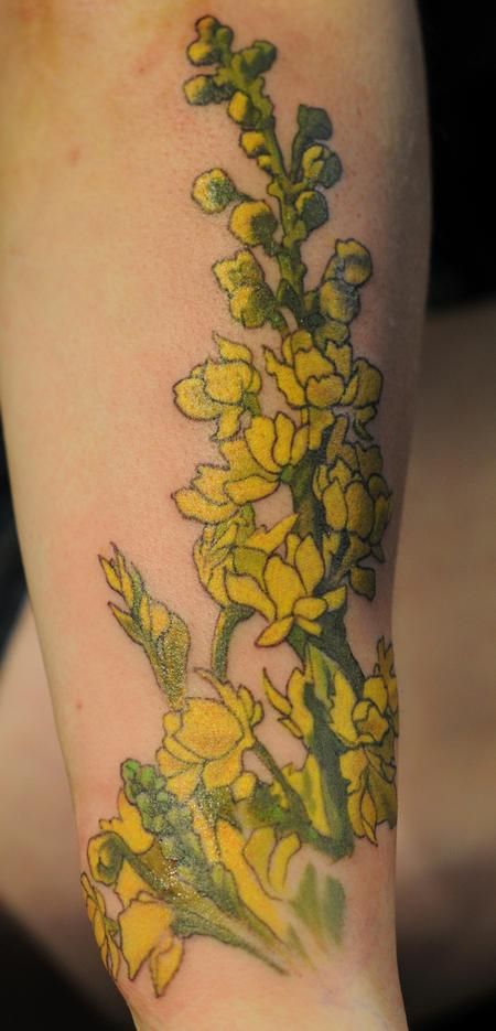 Oregon grape tat State Flower Tattoo, Oregon Grape Flower, Oregon State Flower, Grape Tattoo, Grape Flower, Oregon Tattoo, State Tattoos, Oregon Grape, Optic Nerve