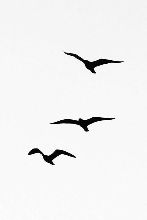 Acab Tattoo, Bird Silhouette Tattoos, Seagull Tattoo, Small Bird Tattoos, Marine Tattoo, Vogel Tattoo, Small Bird Tattoo, Tato Henna, Silhouette Tattoos