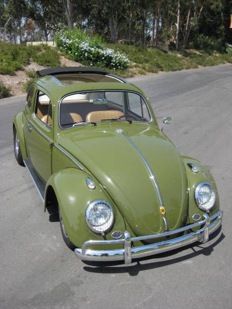 Olive beetle Kdf Wagen, Volkswagen Vans, Bug Car, Vw Sedan, Classic Volkswagen, Old Vintage Cars, Volkswagen Karmann Ghia, Vw Aircooled, Vintage Volkswagen