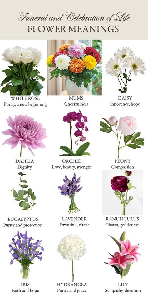 Flowers And Their Meanings, Life Themes, Object Reference, Memorial Services, Funeral Floral Arrangements, Life Flower, Funeral Floral, Funeral Flower Arrangements, Funeral Arrangements