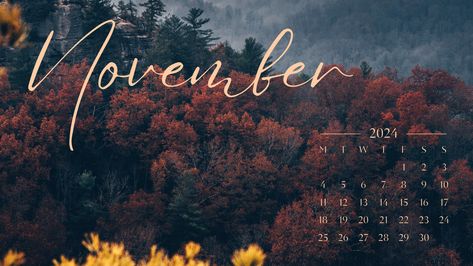 20 FREE NOVEMBER 2024 DESKTOP CALENDAR BACKGROUNDS (EASY DOWNLOAD) - Nikki's Plate November Aesthetic Wallpaper Iphone, November Wallpaper Aesthetic, Iphone Wallpaper November, November Backgrounds, Wallpaper November, Desktop Wallpaper Fall, Fall Backgrounds Iphone, Desktop Wallpaper Macbook, November Wallpaper