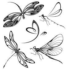 Dragonfly Vector Art, Icons, and Graphics for Free Download Flying Dragonfly, Dragonfly Silhouette, Dragonfly Illustration, Dragonfly Drawing, Dragonfly Tattoo Design, Watercolor Dragonfly, Vector Art Design, Engraving Illustration, Illustration Botanique