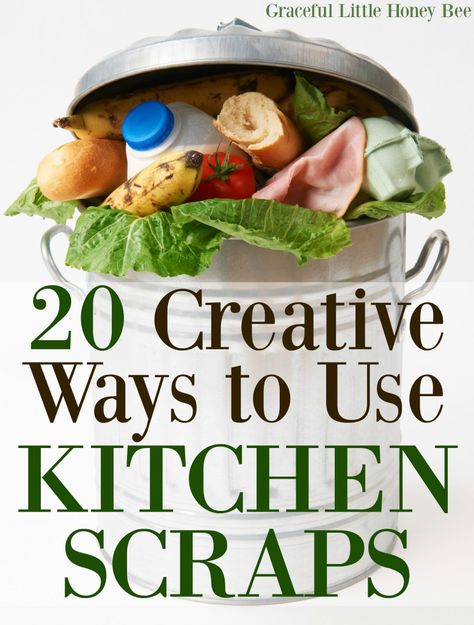 See this list of 20 Creative Ways to Use Kitchen Scraps and learn how to reduce food waste and save money. Ideas include candied orange peel and apple scrap jelly! Apple Scrap Jelly, Kitchen Scraps, Candied Orange, Candied Orange Peel, Croutons Homemade, Food Scraps, Frugal Meals, Reduce Food Waste, Frugal Tips