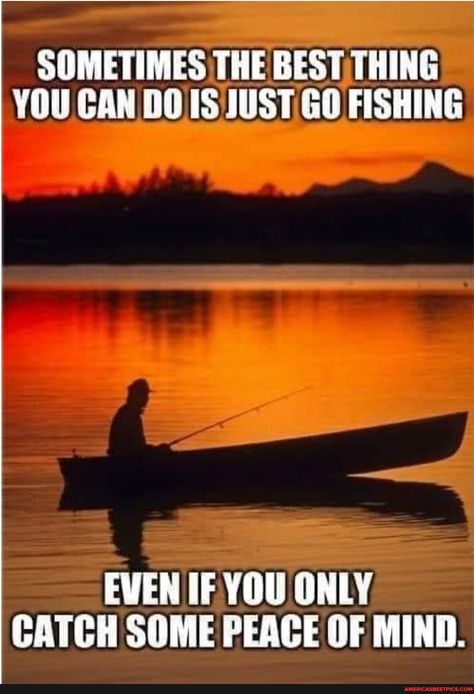 Craft Fish, Nature Quotes Inspirational, Fishing Jokes, Homemade Fishing Lures, Thoughts For The Day, Fishing Photography, Fishing Pictures, Fishing Quotes, Fishing Stuff