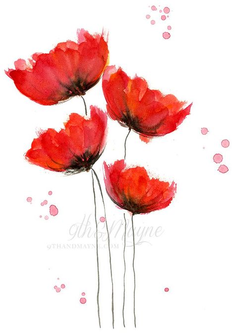 Learning How To Paint Watercolor Poppies, My Way – Part 3 Watercolour Poppies, Watercolor Poppies, Cat Air, 수채화 그림, Fine Art Portraits, Watercolor Inspiration, Watercolour Tutorials, Watercolor Paint, Watercolor Cards