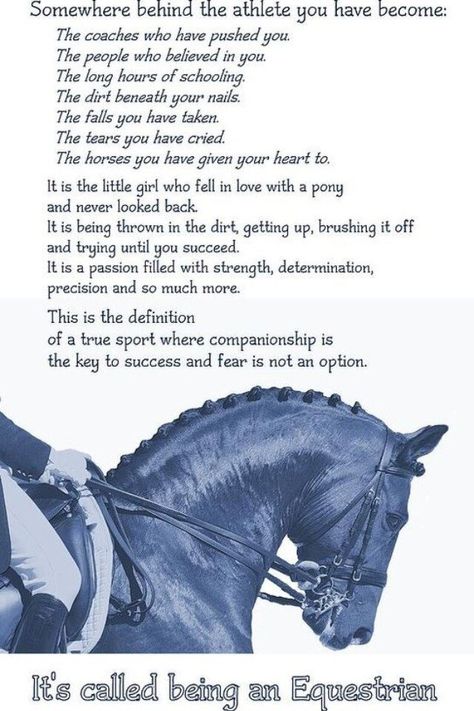 fear is not an option Equine Quotes, Inspirational Horse Quotes, Horse Riding Quotes, Equestrian Quotes, Riding Quotes, Riding A Horse, Equestrian Helmet, Horse Quotes, Horse Crazy