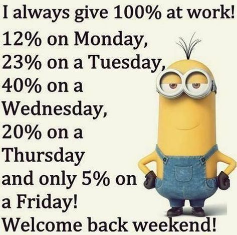 I always give 100% at work! minion minion quotes minion images minion picture quotes Minion Meme, Funny Minion Pictures, Funny Minion Memes, Minion Pictures, Minion Jokes, A Minion, Minion Quotes, Funny Minion Quotes, Minions Quotes