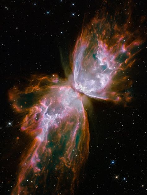 Butterfly Nebula, Hubble Space Telescope Pictures, Hubble Space Telescope Images, Planetary Nebula, Helix Nebula, Nasa Hubble, Carina Nebula, Hubble Images, Star Formation