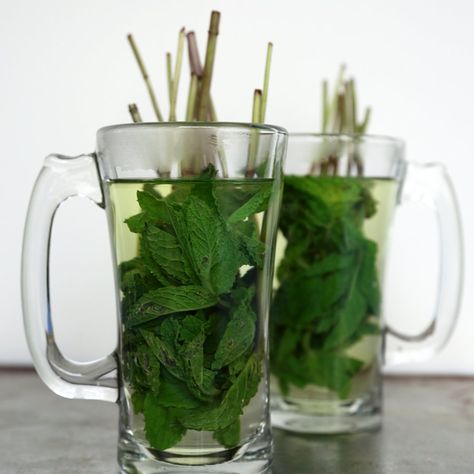 23 Tea Hacks That Will Change Your Life Mint Tea Recipe, Fresh Mint Tea, Mint Water, Lemon Cucumber, Sport Food, Fat Loss Foods, Mint Tea, Peppermint Tea, Tea Tasting