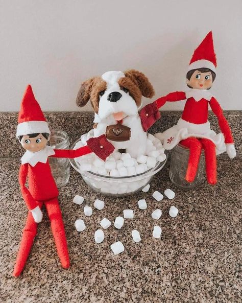 Elf On The Shelf Pet Ideas, Reindeer Pet, Elf Games, Elf Pets, December Activities, Elf Magic, Awesome Elf On The Shelf Ideas, Elf Props, Elf Antics