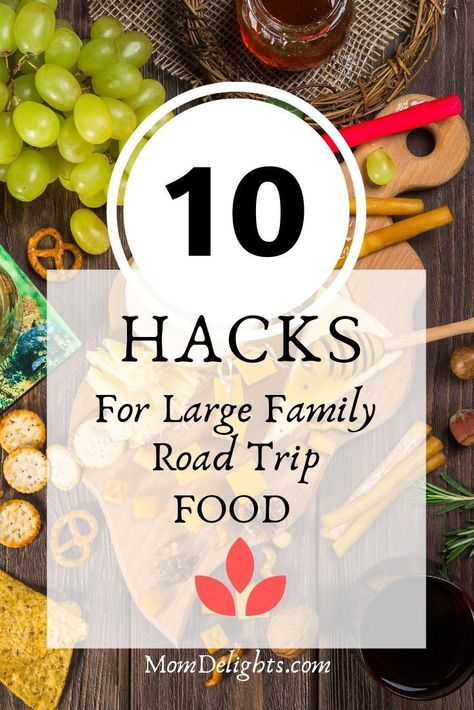 10 Hacks for Large Family Road Trip Food Beautiful Beaches Paradise, Fig Bars, Road Trip Food, Family Road Trip, Road Trip Snacks, Long Road Trip, Dry Snacks, Road Trip With Kids, Beach Hacks