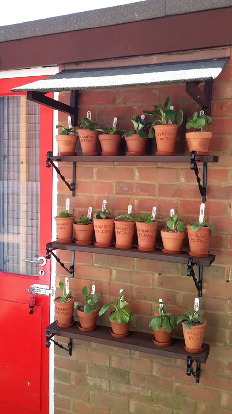 Corner Open Shelves, Auricula Theatre, Corner Shelving Ideas, Wall Shelves Ideas, Outdoor Metal Plant Stands, Decor Corner, Herb Garden Pots, Grill Gate Design, Shelves Ideas