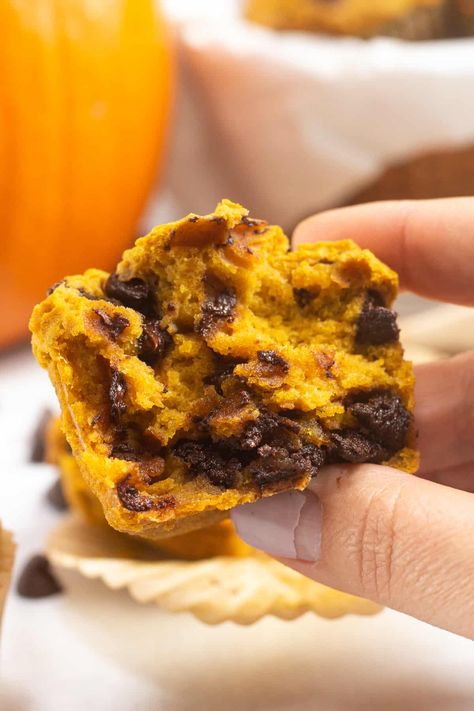 These gluten free pumpkin chocolate chip muffins are soft, moist, and perfect for fall. Combining the typical pumpkin spice flavors with rich chocolate chips make these a great dessert option. Break out the muffin pan Gluten Free Pumpkin Chocolate Chip, Chocolate Pumpkin Muffins, Gluten Free Pumpkin Spice, Desserts With Chocolate Chips, Dairy Free Cooking, Dairy Free Pumpkin, Pumpkin Chocolate Chip Muffins, Spiced Chocolate, Gluten Free Chocolate Chip