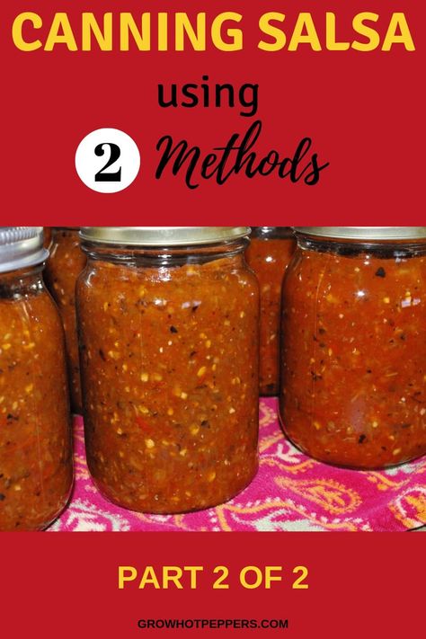 Canning Salsa Without Vinegar, Salsa Recipe For Pressure Canning, Best Salsa Recipe Ever Canning, Pressure Canning Salsa Recipes, Blender Salsa For Canning, Canning Smoked Salsa, Smoked Salsa Recipe Canning, Pressure Can Salsa Recipe, Canning Chunky Salsa