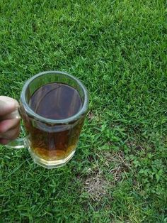 Getting rid of dead spots on the lawn using beer. Rustic Gazebo, Lawn Repair, Lawn Food, Aerate Lawn, Dog Urine, Diy Lawn, Lawn Care Tips, Lush Lawn, Garden Terrace