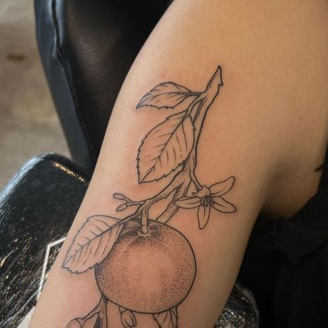 Dom on Instagram: "clementine branch 🍊   #dipandrip #dipnrip #blackwork #tattoos #blackandgrey #lancastercitytattoos #lancastercity #clementine #tattooed #tattooing #ink #eternalink #tattooartist #inklife #dynamicink #tattoo #lancastertattoo #lancaster #leola #privatestudio #tattooedbydom #blackandgreytattoo #tattoodesign" Citrus Branch Tattoo, Orange Branch Tattoo, Clementine Tattoo, Orange Branch, Nice Tattoos, Branch Tattoo, Blackwork Tattoos, Tattoo Inspo, Black And Grey Tattoos