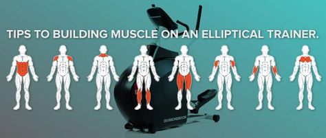 Using an elliptical trainer is an excellent way to enjoy a low-impact workout that can effectively target various aspects of fitness. Since the elliptical involves pushing and pulling both the feet and the hands, it can be used to help build muscle in both the lower and upper body. In order to gain the greatest benefits in terms of building muscle, here are a few tips to keep in mind when using an elliptical to build muscle. Tip #1: Choose the Right Machine Some elliptical machines isolate the Elliptical Benefits, Elliptical Cross Trainer, Elliptical Trainers, Elliptical Workout, Pectoral Muscles, Elliptical Trainer, Overhead Press, Building Muscle, Leg Muscles