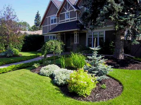 Land Scapes, Side Yard Landscaping, Sloped Yard, Front Garden Landscape, Yard Landscape, Front Yard Design, Front Landscaping, Low Maintenance Landscaping, Large Tree