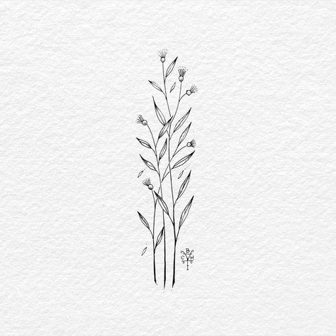 Thistle Drawing, Flower Drawing Tumblr, Tumblr Drawings, Illustrator Inspiration, Flowers Drawing, Doodle Ideas, Plant Drawing, Trendy Flowers, Tree Tattoo