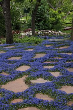 Backyard Grass Alternative, Grass Backyard, Grass Alternative, High Country Gardens, No Grass Backyard, Lawn Alternatives, Bottle Trees, Flagstone Patio, Meditation Garden