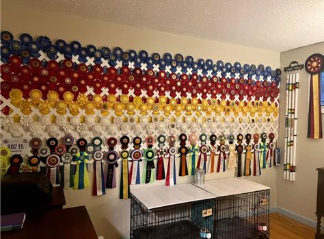 Equestrian Ribbon Display, Horse Ribbons Display Ideas, Horse Ribbon Display, Equestrian Bedroom, Show Ribbon Display, Horse Show Ribbons, Horse Ribbons, Horse Riding Aesthetic, Ribbon Display