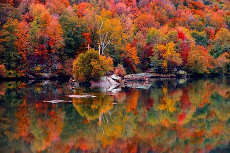 Fall West Virginia, West Virginia Fall Foliage, Fall In West Virginia, Clarksburg West Virginia, West Virginia Vacation, Changing Aesthetic, Middleburg Virginia, West Virginia Travel, Virginia Fall