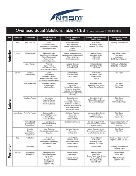 The Overhead Squat Assessment | The Fitness Trainer Academy Fitness Assessment, Functional Exercises, Ace Study, Overhead Squat, Fitness Education, Personal Training Business, Nasm Cpt, Fitness Career, Yoga And Pilates