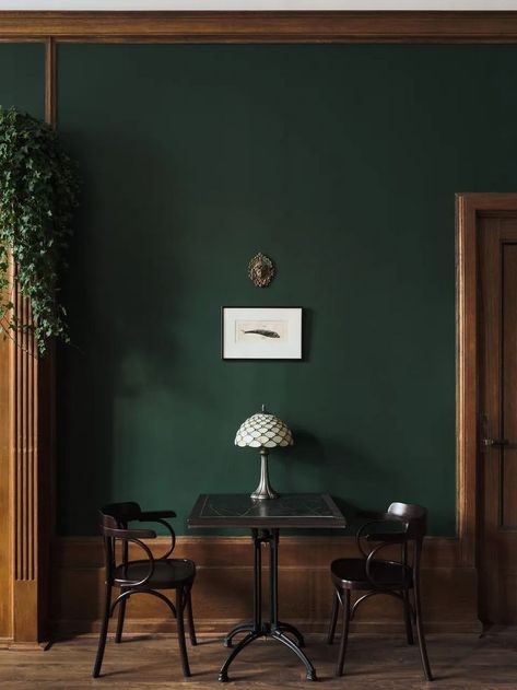 Salon Bedroom Ideas, Dark Green Interior Design, Dark Green Home Decor, Dark Green Room, Dark Green Decor, Dark Green Home, Dark Green Interior, Dark Green Design, Dark Green Rooms