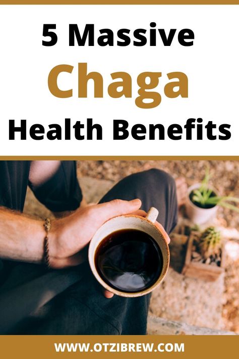 Chaga Tea Benefits, Chaga Benefits, Mushroom Health Benefits, Chaga Mushroom Benefits, Chaga Mushroom Tea, Chaga Tea, Health Benefits Of Mushrooms, Skin Fungus, Mushroom Benefits