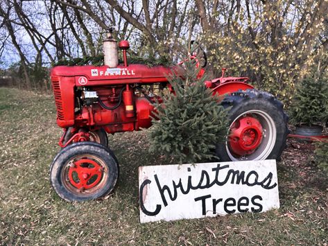 Tractor Photo Shoot, Tractor Photoshoot, Christmas Tractor, Photoshoot Christmas, Tractor Photos, Old Tractor, 2024 Christmas, Christmas Photos, Tractor