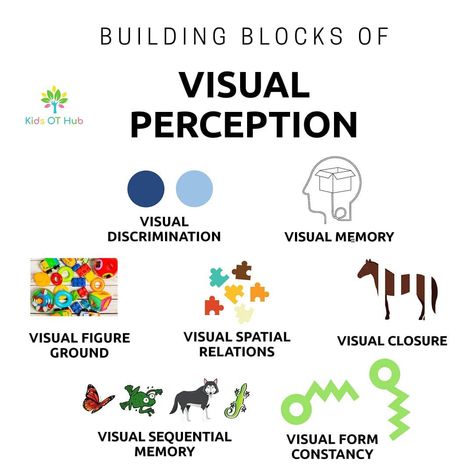 Visual Processing Activities Occupational Therapy, Visual Schedule Occupational Therapy, Visual Perception Activities Occupational Therapy, Sensorimotor Stage Jean Piaget, Visual Scanning Occupational Therapy, Brain Gym For Kids, Visual Perception Activities, Sensory Therapy, Vision Therapy