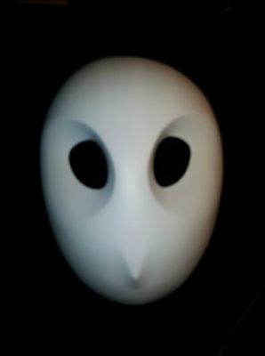 Super Punch: DC's Court of Owls masks [I like the simplicity of this] Court Of Owls, Owl Mask, White Owl, Suit Designs, Character Design References, Design Reference, Eye Black, Owls, Mask