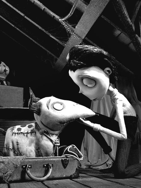 Frankenweenie Franken Weenie, Tim Burton Personajes, Tim Burton Characters, Tim Burton Movies, Scary Films, Tim Burton Art, Halloween Film, Tim Burton Films, Pet Sematary