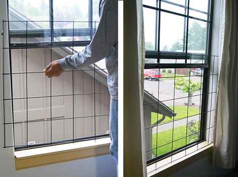 Diy Window Security Ideas, Dog Proof Window Screen, Diy Window Security Bars, Window Protection Ideas, Open Upstairs, Happy To Me, Diy Window Screen, Window Guards, Window Guard