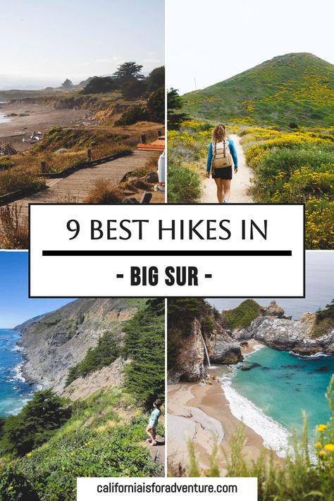 Enjoy the best hikes in Big Sur, such as the scenic Buzzard's Roost Trail and the breathtaking views from the Panorama Trail. Don’t miss the chance to explore these amazing paths. Check out my post on hikes in Big Sur for more info! Pnw Hikes, Big Sur Trip, Pnw Coast, Big Sur Coastline, California Coast Road Trip, Coastal Redwood, Oregon Hikes, Central Coast California, California Hikes