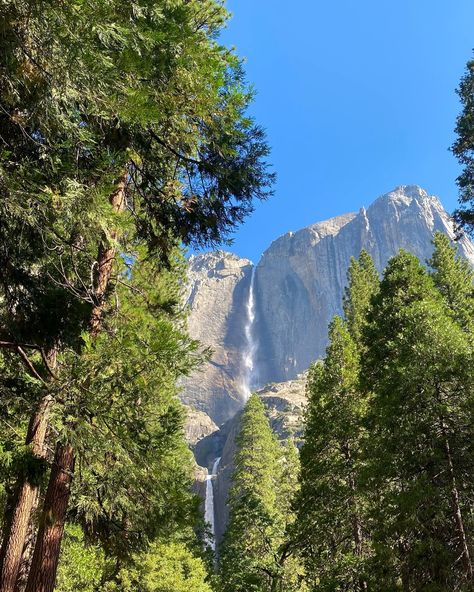 Yosemite National Park 🏞️🌿⛰️ #usa #travel #nationalpark #explore #yosemite #nature #waterfall #trip #bestplacestogo National Park Yosemite, North America Aesthetic, Wawona Yosemite, Yosemite National Park Aesthetic, Lizzie Core, Yosemite Aesthetic, National Parks Aesthetic, National Park Aesthetic, Nature Parks