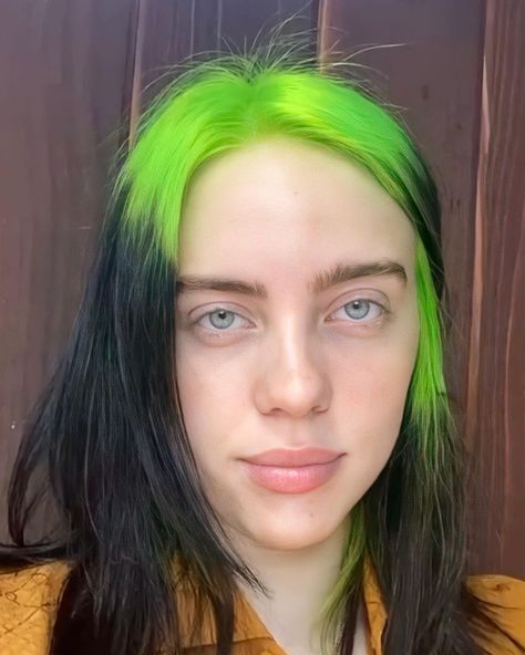 No Makeup Pictures, Billie Eilish Icons, Loose Ponytail, Fair Complexion, No Makeup, Makeup Pictures, Eyes Lips, Without Makeup, Cool Hair Color