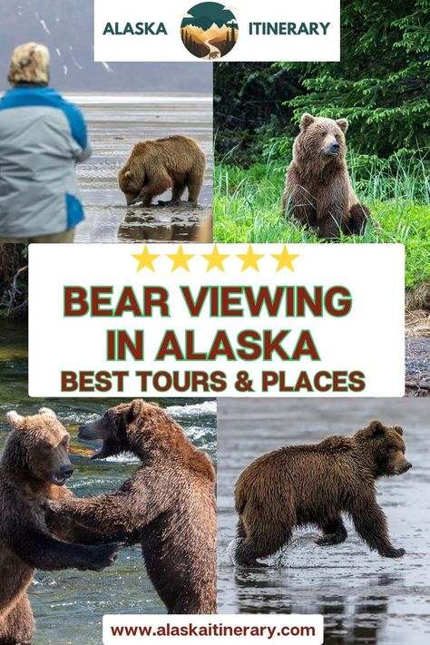 Ever dreamed of seeing Alaska’s majestic bears up close? Our guide to Bear Viewing in Alaska covers the top tours and destinations where you can safely observe these incredible creatures in the wild. From Katmai National Park with famous Brooks Falls, to Lake Clark, or Ketchikan we’ve got insider tips to help you plan the ultimate bear-viewing adventure. Click here to learn more and start planning your Alaskan wildlife experience! Lake Clark National Park, Things To Do In Kodiak Alaska, What To Do In Girdwood Alaska, Katmai National Park Alaska, Alaskan Wildlife, Kodiak Island, Kodiak Bear, Katmai National Park, Northern Lights Viewing