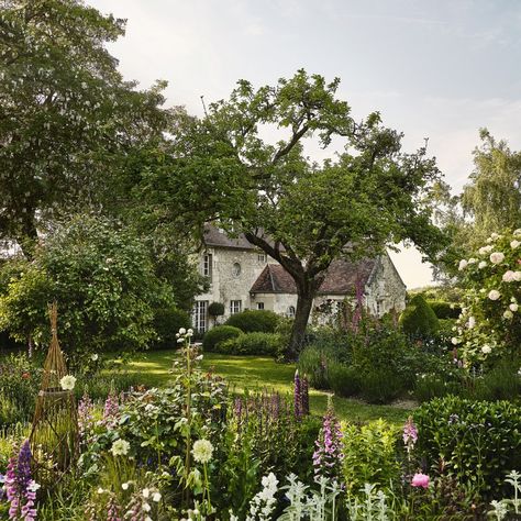 Climbing Roses Garden, Ivy Tree, English Flower Garden, Garden Potting Shed, Cordelia De Castellane, Flowers House, Honey Locust, French Exterior, Herbaceous Border