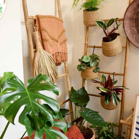 Ladder Plant Hanger, Bamboo Bedroom, Bamboo Ladder, Wooden Blanket Ladder, Plant Ladder, Garden Sitting Areas, Wall Ladder, Bamboo Ladders, Bathroom Ladder