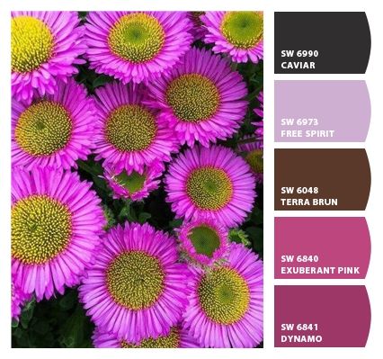 Red Clover, Handmade Inspiration, Colour Board, Colour Schemes, Sherwin Williams, Color Palettes, Color Me, Color Combinations, Paint Colors