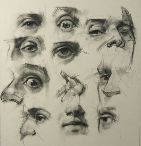 Facial features, charcoal on paper. www.davidshevlino.com 얼굴 드��로잉, Human Anatomy Art, Anatomy Sketches, Arte Sketchbook, Arte Inspo, Anatomy Drawing, Facial Features, Arte Fantasy, Anatomy Art