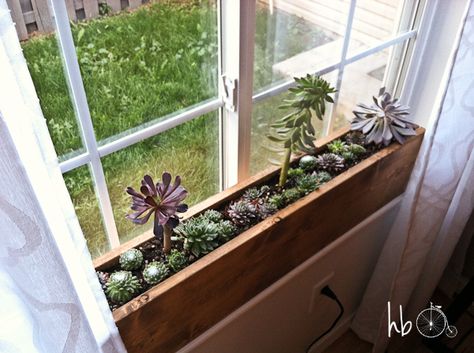 Custom built in window box for succulents or other light loving plants Window Box, Window Sill, The Window, Succulent, Plants