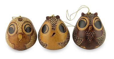 Gourds Diy, Gourd Ornaments, Craft Projects For Adults, Gourds Birdhouse, Decorative Gourds, Hand Painted Gourds, Gourds Crafts, Painted Gourds, Owl Ornament