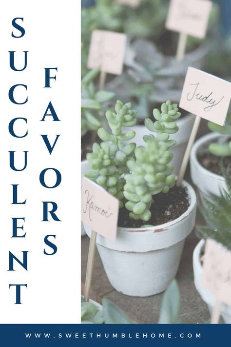 Plants as favors are a take-home gift that keeps giving! Mini potted plants for party favors, wedding favors and more are perfect for guests! Succulent plants for favors give guests something to remember your special day. Potted plants for favors are a win for all different types of party favors! A succulent gift idea that keeps giving! #favors, #wedding, #plantsforfavors, #succulents Mini Plant Favors, Succulent Party Favors, Plant Wedding Favors, Succulent Wedding Favors, Plant Party, Party Favors Wedding, Cactus Wedding, Succulent Gift, Mini Cactus