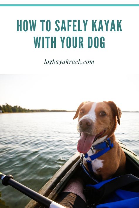 Kayaking Essentials, Kayak Pictures, Kayaking With Dogs, Kayak Equipment, Sit On Kayak, Kayaking Tips, Tandem Kayaking, Kayak Camping, Kayak Accessories