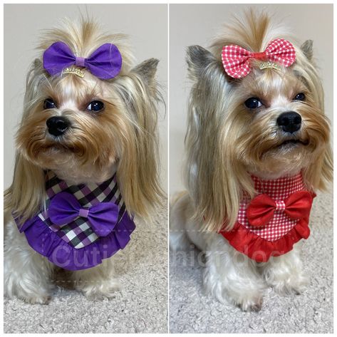 PDF Pattern and DIY Tutorial How to Sew a Dog Girl Bandana With Ruffle and Head Bow 5 Sizes for Dogs for Neck 9-18 Inch 23-47 Cm A4/letter - Etsy Bib Tutorial, Girl Dog Bandana, Ruffles Pattern, Dog Girl, Cute Small Dogs, Girl Dog, Dog Scarfs, Girl And Dog, How To Sew