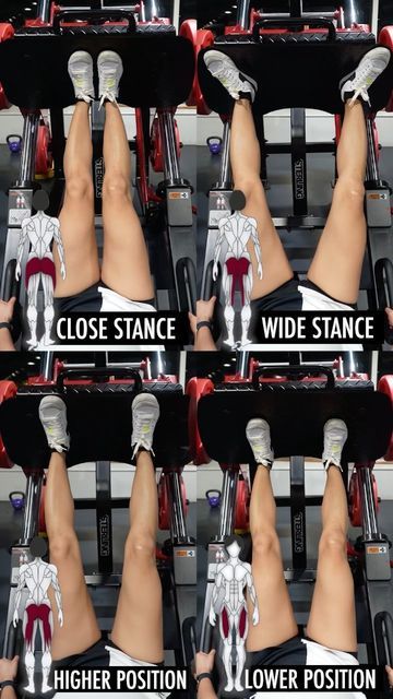 Leg Press Positioning, Leg Press Before And After, Leg Press 45, Home Leg Press, Leg Press Benefits, Leg Press For Glutes, Prone Leg Curl, Leg Press Workout, Single Leg Press